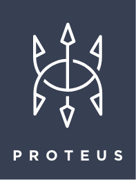 Proteus Snowboards