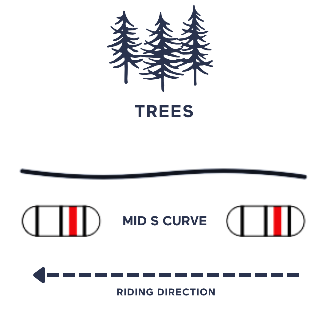 best snowboard for trees