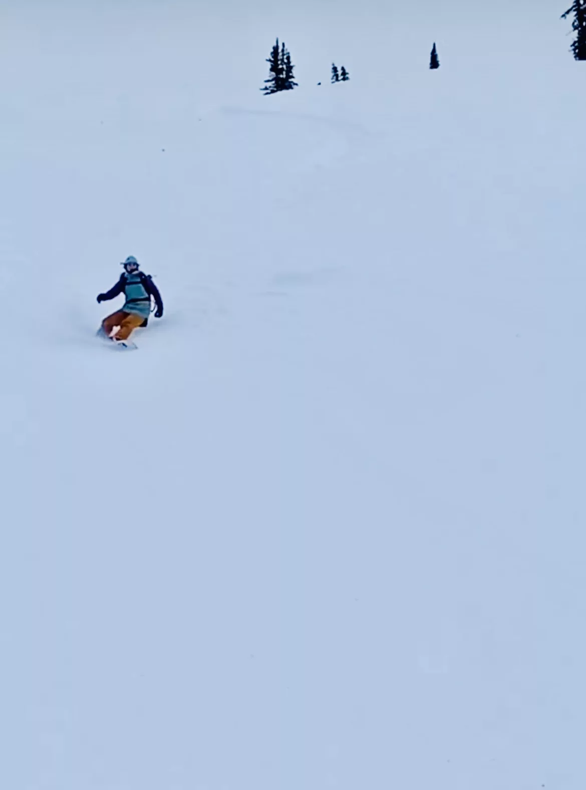 maya davis proteus snowboards