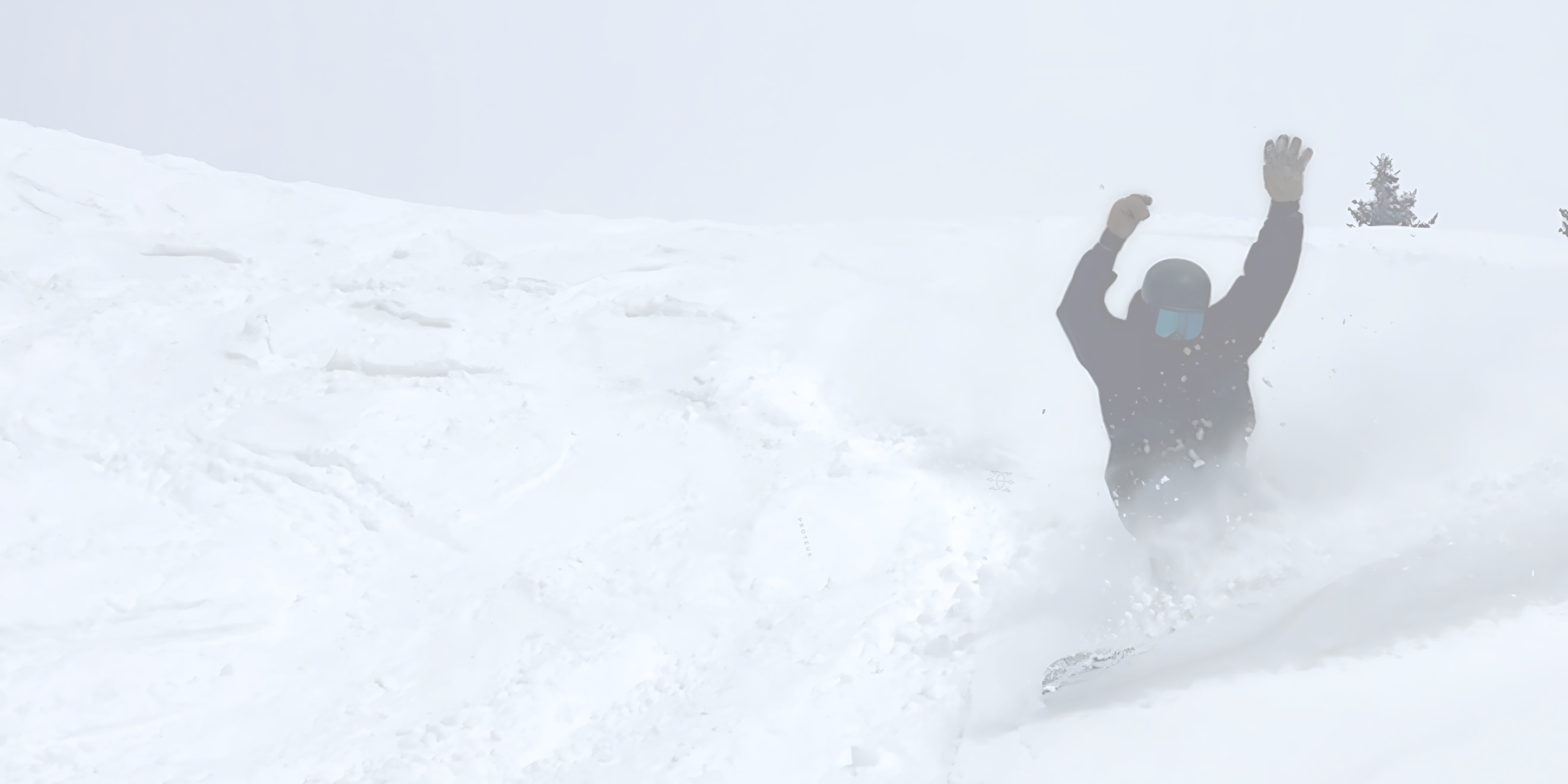 proteus snowboards