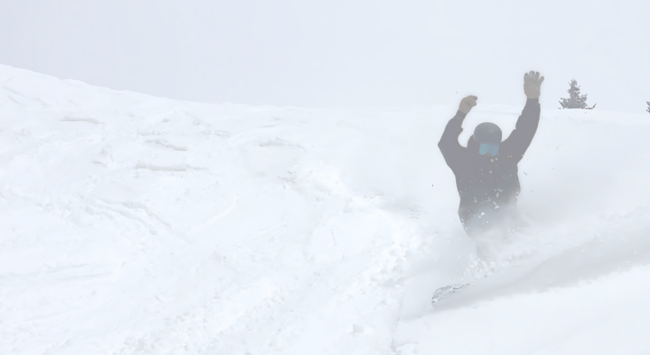proteus snowboards